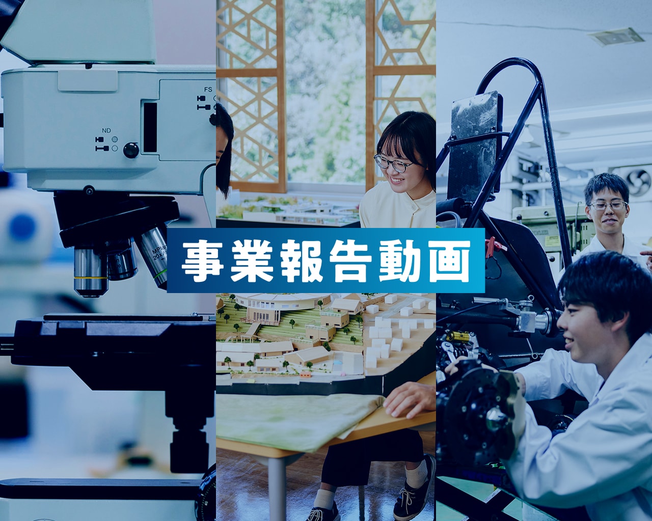 事業報告動画